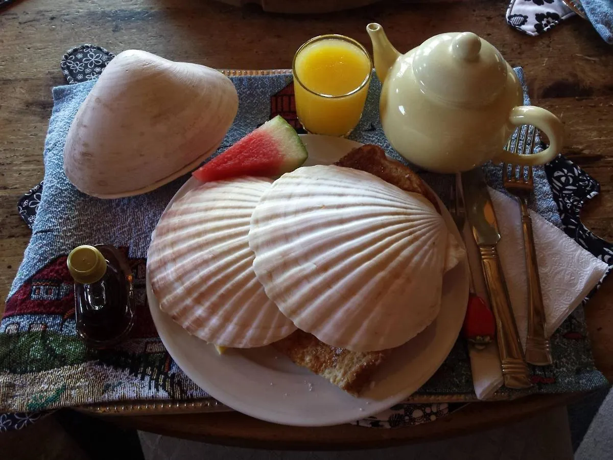 Bed and Breakfast SeaWatch Bed&Breakfast Halifax Kanada